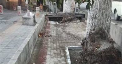 اخبار تهران| ساماندهی انهار خیابان شریعتی/‍ ایمن‌سازی اتوبان آزادگان با نصب نیوجرسی