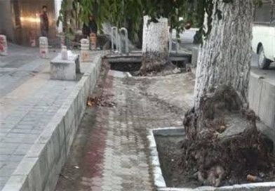 اخبار تهران| ساماندهی انهار خیابان شریعتی/‍ ایمن‌سازی اتوبان آزادگان با نصب نیوجرسی