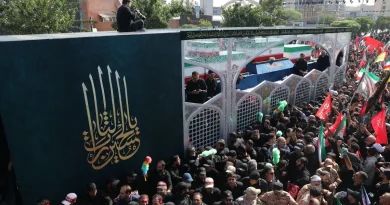 سیاستمدار آفریقای جنوبی: تهران امروز نماد مقاومت است سیاستمدار آفریقای جنوبی: تهران امروز نماد مقاومت است